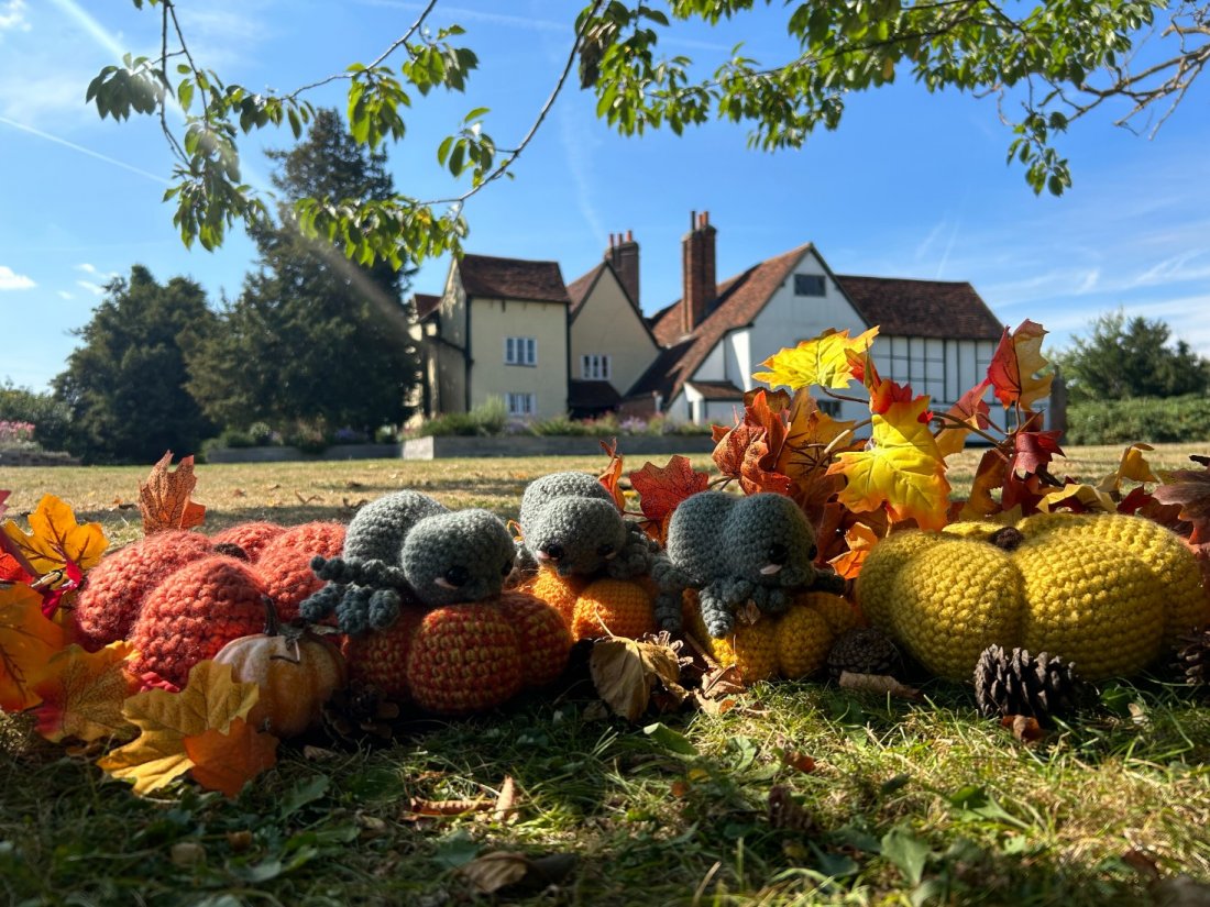 Headstone Manor Pumpkin Trail Headstone Manor and Museum, Pinner, EN