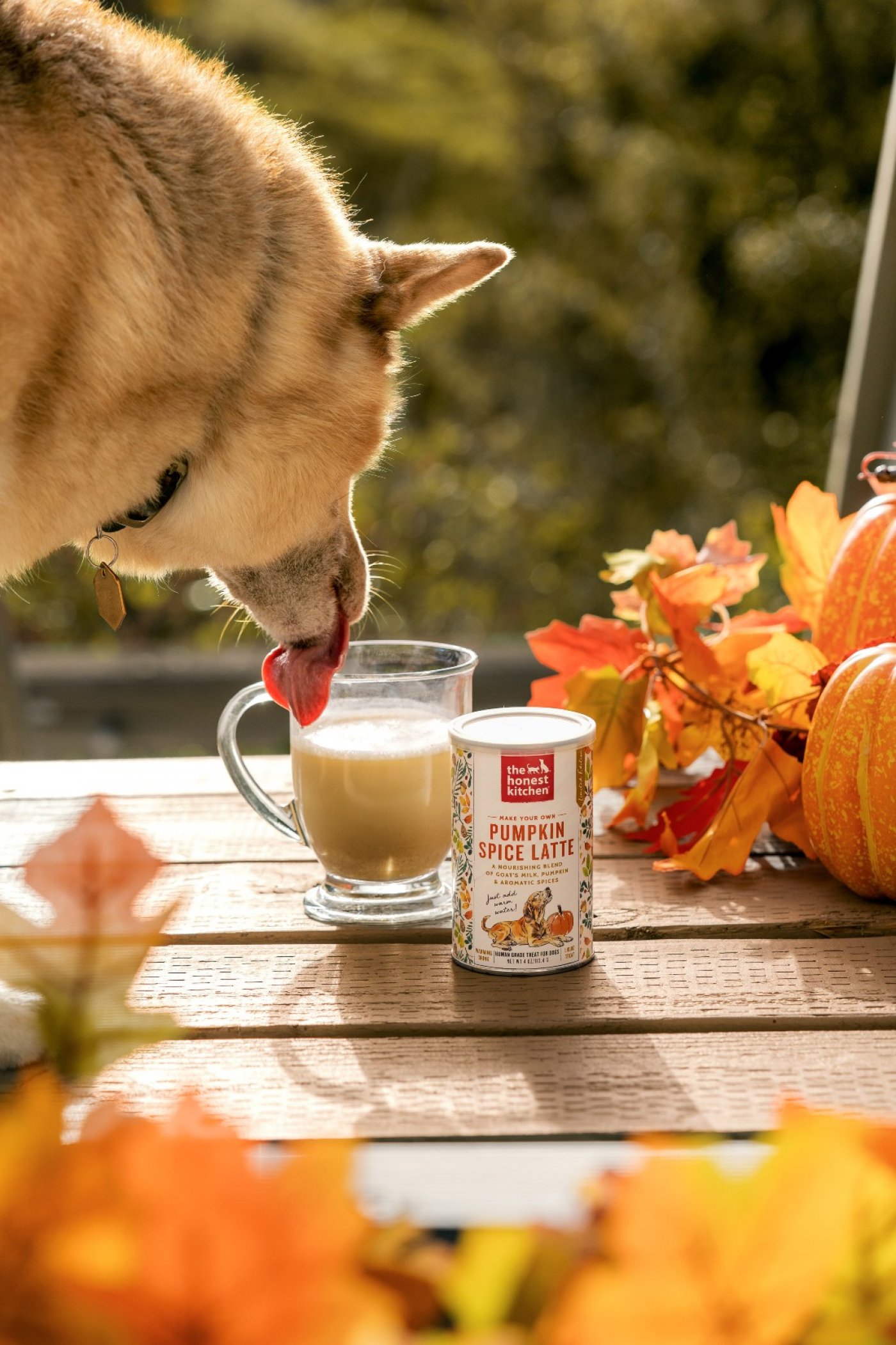 The Honest Kitchen\u2019s Dog-Friendly Pumpkin Spice Latte Sampling 