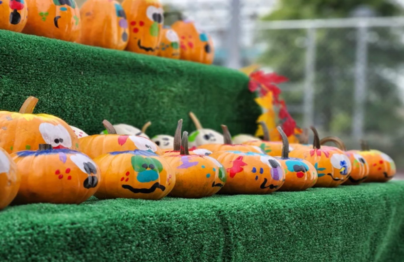 Pick the Perfect Pumpkin at Greg\u2019s Great Pumpkin Patch