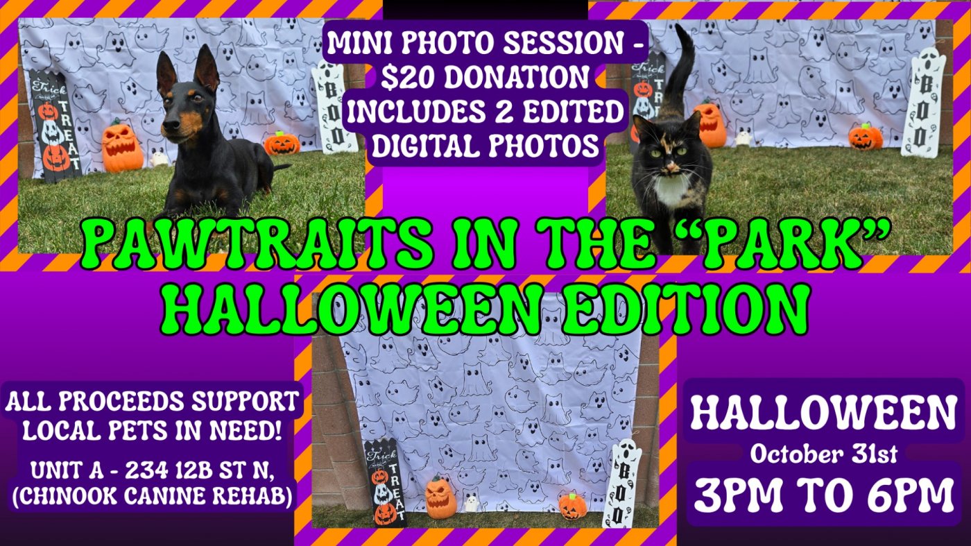 PAWTRAITS IN THE PARK - HALLOWEEN EDITION BY PAACT
